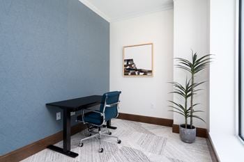 Work from home space with desk and chair and plant near the light from the window.